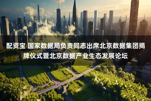 配资宝 国家数据局负责同志出席北京数据集团揭牌仪式暨北京数据产业生态发展论坛