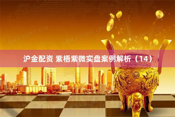 沪金配资 紫梧紫微实盘案例解析（14）