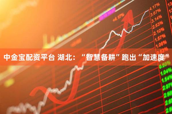 中金宝配资平台 湖北：“智慧备耕”跑出“加速度”
