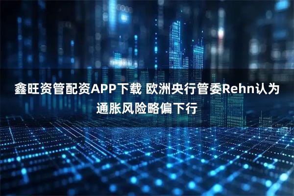 鑫旺资管配资APP下载 欧洲央行管委Rehn认为通胀风险略偏下行