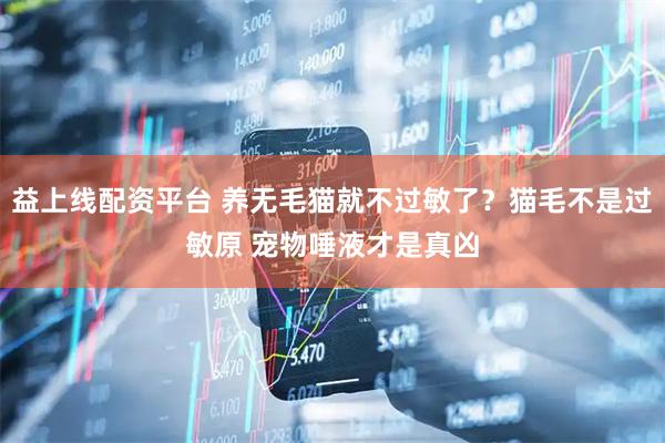 益上线配资平台 养无毛猫就不过敏了？猫毛不是过敏原 宠物唾液才是真凶